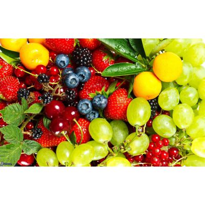 广州水果批发市场进口水果、水果档货源