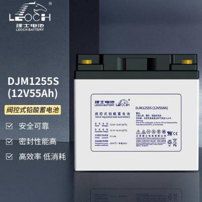 理士蓄电池DJM1255铅酸免维护12V55AH直流屏 UPS/EPS电源专用