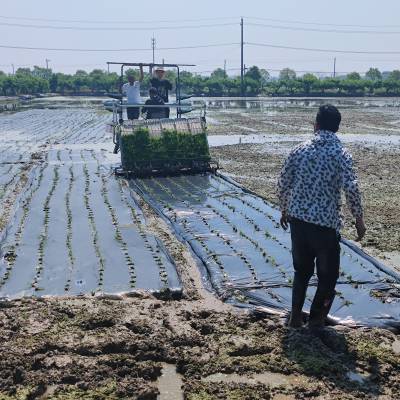 全生物降解地膜