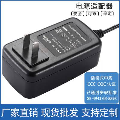 插墙式中规CCC CQC认证电源适配器3V4V5V6V9V12V24V36V48V充电器