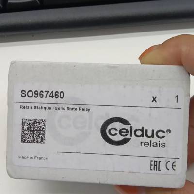 SSC05306¼̵CELDUC