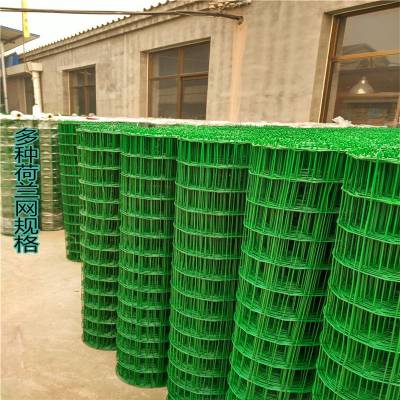 草绿色涂塑焊接网 铁丝荷兰网 土鸡养殖铁丝围栏网