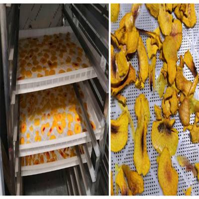 供应雄新芒果烘干机，箱式烘干机