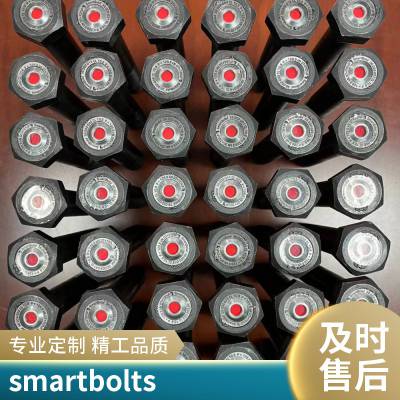 防松螺帽 螺母 建筑工程用 可视螺栓 smartbolts