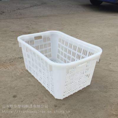 供应大头菜筐子/豌豆芽筐子/香椿芽筐/萝卜芽黄豆芽绿豆芽荞麦芽花生