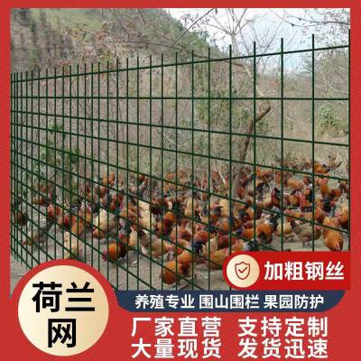 圈菜园铁丝网 养殖养鸡果园护栏网 涂塑焊接防护网
