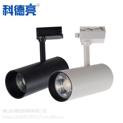 ֱƵ ledֱͲ չʽ 12w 20w 30wCOB