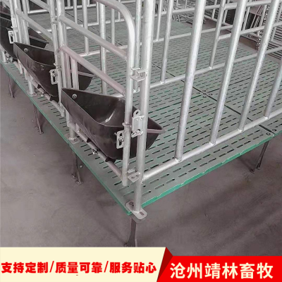复合母猪限位栏 猪用定位栏 离地式定位栏 生产厂家