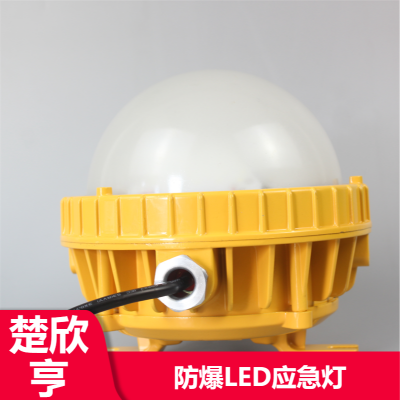 18W强光LED泛光灯可定制 工业用施工照明SW8163防爆工作灯