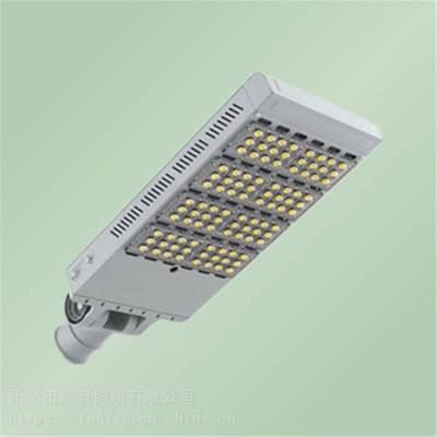 SW7710路灯 化工场所LED道路灯 100W/80W功率 鼎轩照明