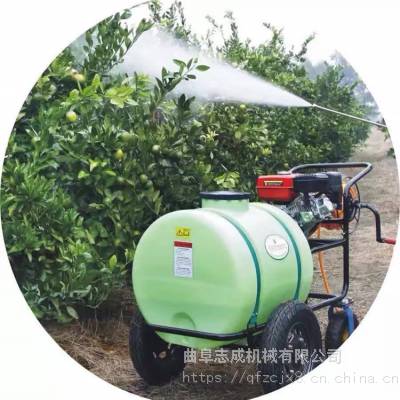 园林果树打药机 手推式汽油打药机 小型高压打药机厂家