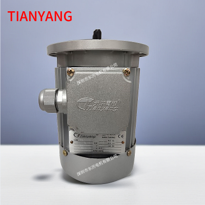 TIANYANG佛山南海天洋电机YS6324 0.18KW 380V马达3-AS.MOTOR三相