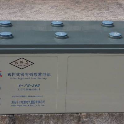 ��������NM-500��·��ȼ���������2V500AHԭװ��ؿ�