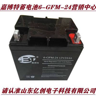 嘉博特蓄电池6-GFM-24铅酸储能型12V24AH EPS/UPS直流屏