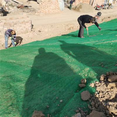 吉林白山市公路河道坡面保护高陡边坡防护三维植被网