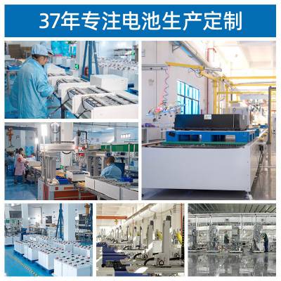厦门华祥威达 集装箱储能系统 质保5年