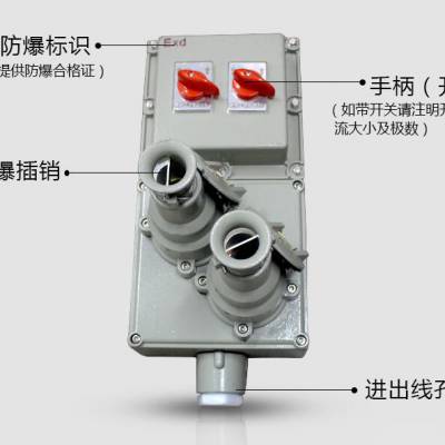 森恩BXX51系列防爆动力检修箱定制防爆插销箱防爆断路器