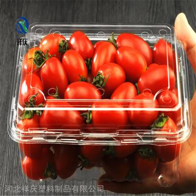 小西红柿塑料包装盒 透明塑料盒定做 塑料盒厂家 河北祥庆