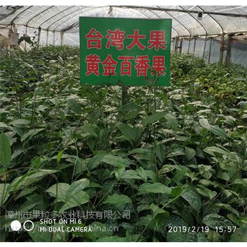 ƽ磭磭ƽ޽磨ζ31