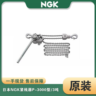 P-3000 3T 5MߏXϽ朗lְJձNGK***