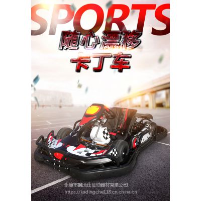 2019 EGS新款休闲卡丁车 F1赛车 四轮沙滩车 场地赛道娱乐竞技漂移成人单人赛车