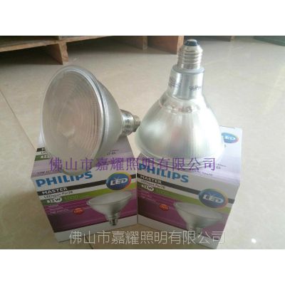 wLED PAR38 13W{(dio)COB