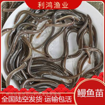 硿ֱֳɿ ŷ 