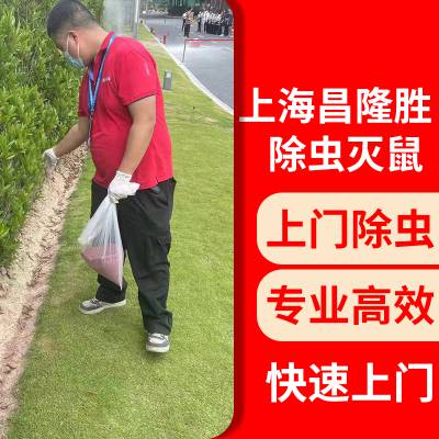 上海青浦区宿舍公寓杀臭虫灭跳蚤除螨虫灭蜈蚣服务电话多少