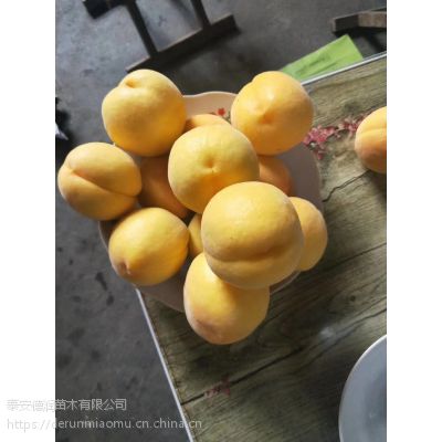 ̩ƽ۶Ż硢ƽ۶Ż