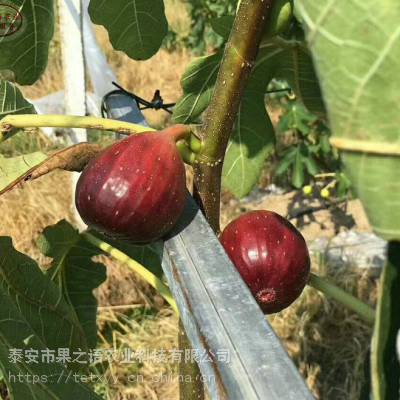 ޻硢ũ޻硢ũ޻