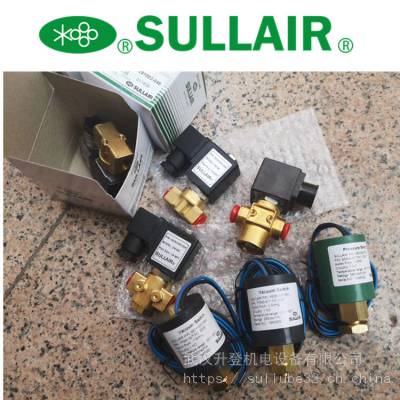 SULLAIR  LS10-40HPѹŷ 250038-755
