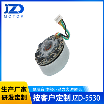 JZD-5530外转子直流电机用于智能门窗电动泵阀家用电器厂家供应