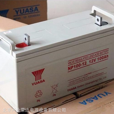 ǳ12V100AH NP100-12 Ǧά