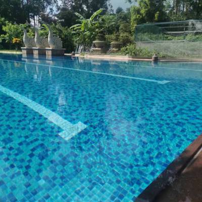 厦门别墅游泳池建设施工 恒温游泳池水处理安装工程维修