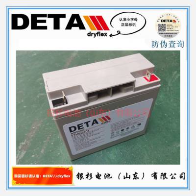 德国DETA银杉蓄电池12VEG20F大中小型UPS应急电源用12V-20AH蓄电池