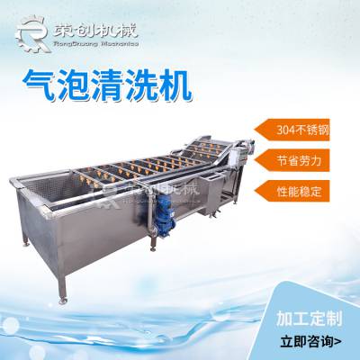 荣创机械葡萄去杂水果清洗机 网带式喷淋清洗机 水果清洗机