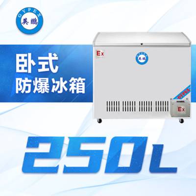   ʽ   250 BL-200WS250L