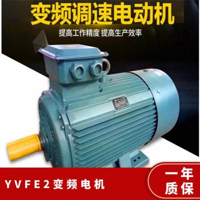 ̩ ЧʱƵٵYVFE2-225M-6 30KWǧ 5-100Hz B3