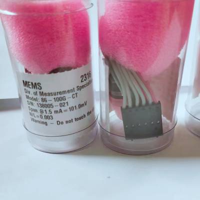 86-100G-CT ֹѹʽѹ TE 100psi