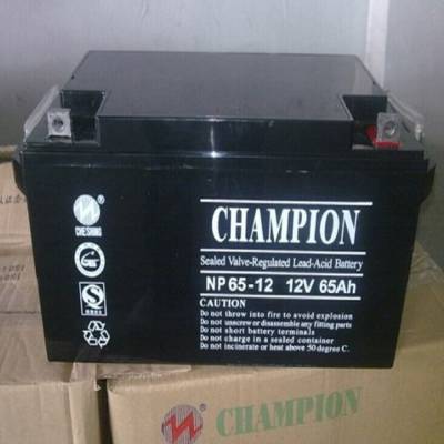 *** 12V80AH ֱ NP80-12 upsԴ EPSԴ