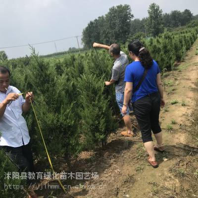 4050СǮ,***Ƕ