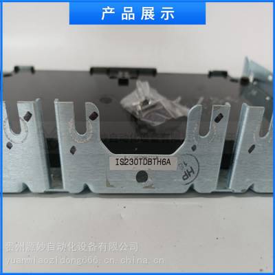 GE-通用电气 IC695PNS001LT DCS输入输出模块