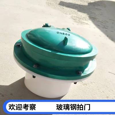 欣固 城市污水防倒灌止回阀塑料涵管逆止阀复合材料拍门HDPE-DN 300