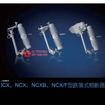 ICX-12/100-8 (S) ABBѹ ۶ϴ