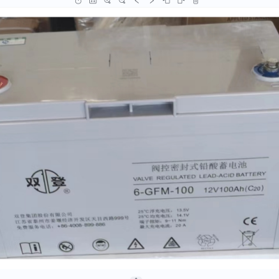 ˫ǷܷʽǦά6-GFM-100C20