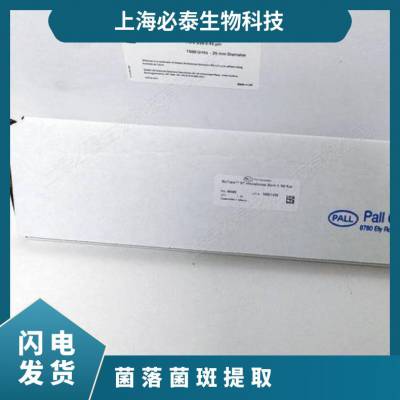 66485Pall BioTrace NT纯硝酸纤维素蛋白转印膜30cm*3m