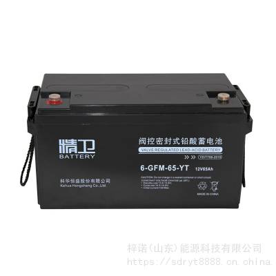 6-GFM-65-YT 12V65AHάǦUPS/EPSԴ