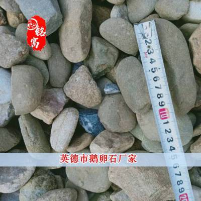 2020ʯг-ڶʯг-ʯ