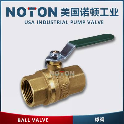 NOTON ͭ ѡ  ׼ ԭ ͼƬ Ʒ