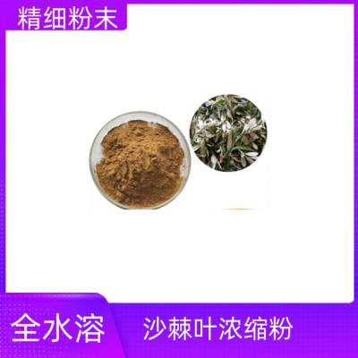 沙棘叶浓缩粉 多种含量规格 质量稳定 植物萃取工艺